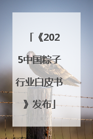 《2025中国粽子行业白皮书》发布