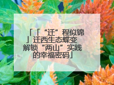 「“迁”程似锦」迁西生态蝶变 解锁“两山”实践的幸福密码