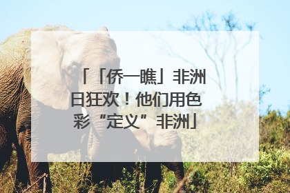 「侨一瞧」非洲日狂欢！他们用色彩“定义”非洲