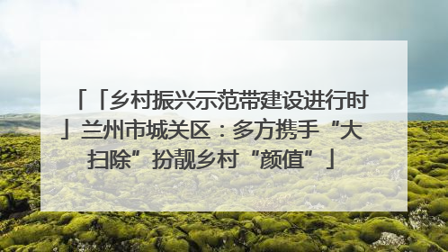 「乡村振兴示范带建设进行时」兰州市城关区：多方携手“大扫除”扮靓乡村“颜值”