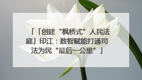 「创建“枫桥式”人民法庭」印江：数智赋能打通司法为民“最后一公里”