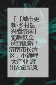 「城市更新·乡村振兴看济南」锦鲤跃金 沃野图新！济南市长清区：小锦鲤大产业 游出农旅新风景