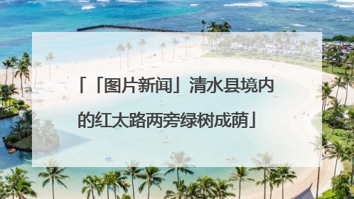 「图片新闻」清水县境内的红太路两旁绿树成荫