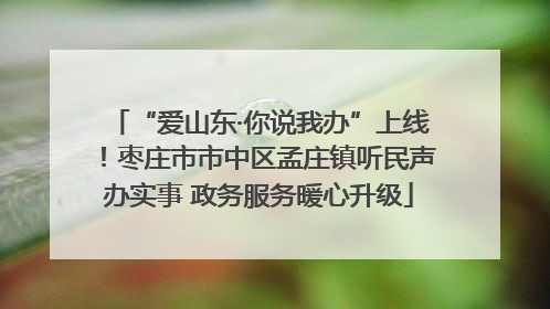 “爱山东·你说我办”上线！枣庄市市中区孟庄镇听民声办实事 政务服务暖心升级