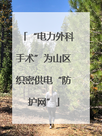 “电力外科手术”为山区织密供电“防护网”