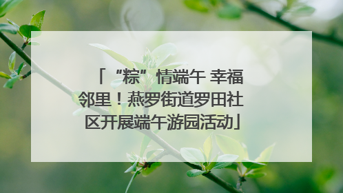“粽”情端午 幸福邻里！燕罗街道罗田社区开展端午游园活动