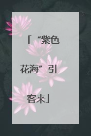 “紫色花海”引客来