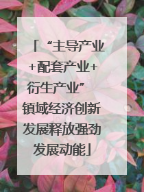 “主导产业+配套产业+衍生产业” 镇域经济创新发展释放强劲发展动能