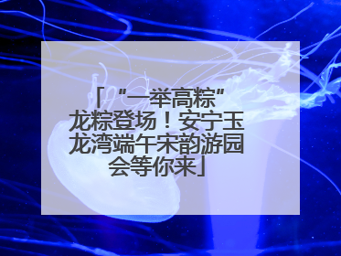“一举高粽” 龙粽登场！安宁玉龙湾端午宋韵游园会等你来