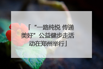 “一路纯悦 传递美好”公益健步走活动在郑州举行