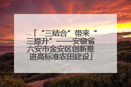 “三结合”带来“三提升”——安徽省六安市金安区创新推进高标准农田建设
