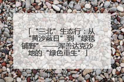 “三北”生态行：从“黄沙蔽日”到“绿毯铺野”——浑善达克沙地的“绿色重生”