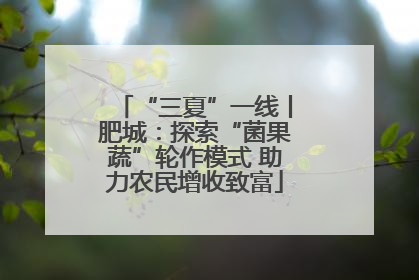“三夏”一线丨肥城：探索“菌果蔬”轮作模式 助力农民增收致富