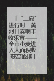 “三夏”进行时｜黄河口奏响丰收乐章——全市小麦进入大面积收获高峰期