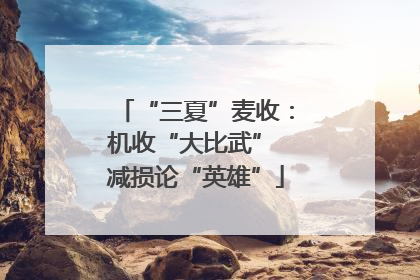 “三夏”麦收：机收“大比武” 减损论“英雄”