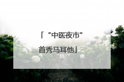 “中医夜市”首秀马耳他