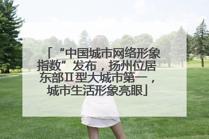 “中国城市网络形象指数”发布，扬州位居东部Ⅱ型大城市第一，城市生活形象亮眼