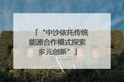 “中沙依托传统能源合作模式探索多元创新”