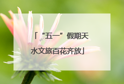 “五一”假期天水文旅百花齐放