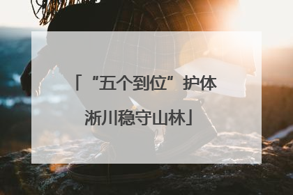 “五个到位”护体 淅川稳守山林