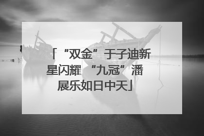 “双金”于子迪新星闪耀 “九冠”潘展乐如日中天
