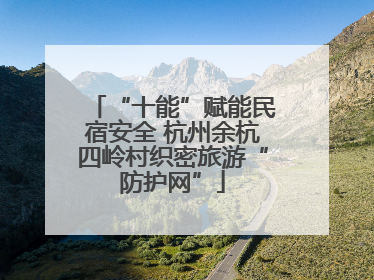 “十能”赋能民宿安全 杭州余杭四岭村织密旅游“防护网”