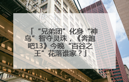 “兄弟团”化身“神鸟”智夺灵珠，《奔跑吧13》今晚“百谷之王”花落谁家？