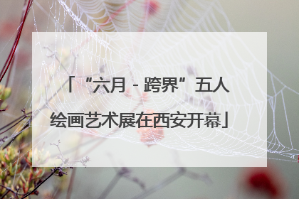 “六月 - 跨界”五人绘画艺术展在西安开幕