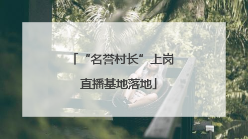 “名誉村长”上岗 直播基地落地