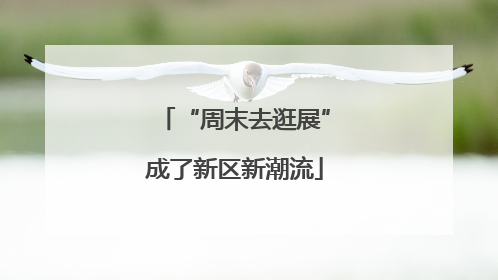 “周末去逛展”成了新区新潮流