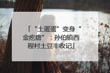 “土蛋蛋”变身“金疙瘩”：孙伯镇西程村土豆丰收记