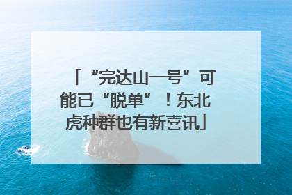 “完达山一号”可能已“脱单”！东北虎种群也有新喜讯