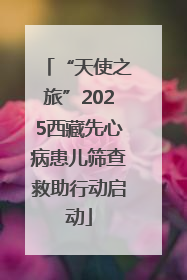 “天使之旅”2025西藏先心病患儿筛查救助行动启动