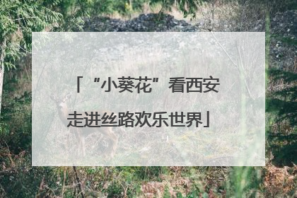 “小葵花”看西安走进丝路欢乐世界