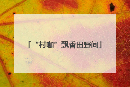 “村咖”飘香田野间