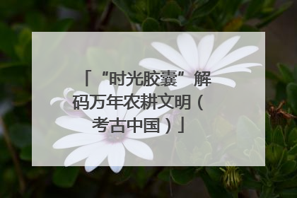 “时光胶囊”解码万年农耕文明（考古中国）