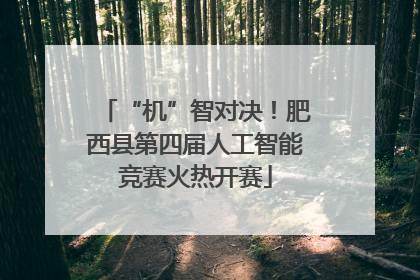 “机”智对决！肥西县第四届人工智能竞赛火热开赛