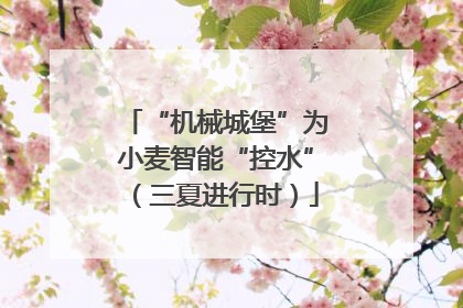 “机械城堡”为小麦智能“控水”（三夏进行时）
