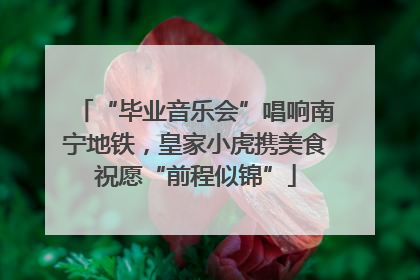 “毕业音乐会”唱响南宁地铁，皇家小虎携美食祝愿“前程似锦”