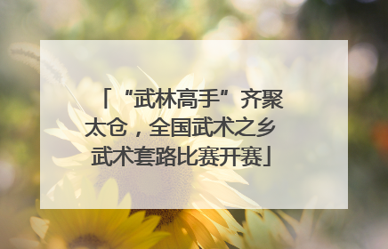 “武林高手”齐聚太仓，全国武术之乡武术套路比赛开赛