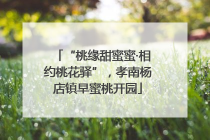 “桃缘甜蜜蜜·相约桃花驿”，孝南杨店镇早蜜桃开园