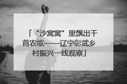 “沙窝窝”里飘出千首农歌——辽宁彰武乡村振兴一线观察