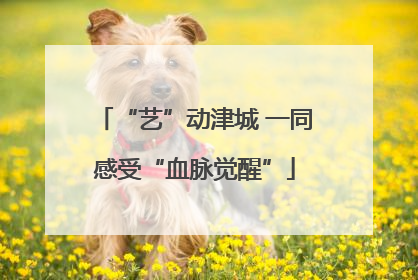 “艺”动津城 一同感受“血脉觉醒”