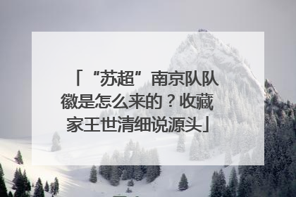 “苏超”南京队队徽是怎么来的？收藏家王世清细说源头