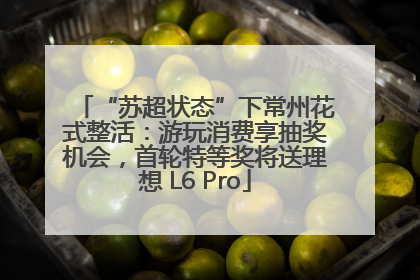 “苏超状态”下常州花式整活：游玩消费享抽奖机会，首轮特等奖将送理想 L6 Pro