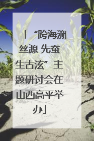 “跨海溯丝源 先蚕生古泫”主题研讨会在山西高平举办