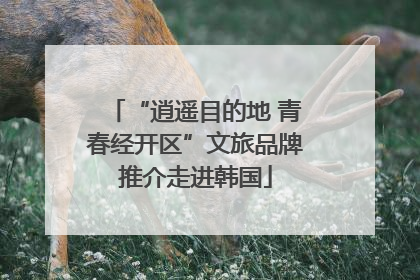 “逍遥目的地 青春经开区”文旅品牌推介走进韩国
