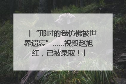 “那时的我仿佛被世界遗忘”……祝贺赵旭红，已被录取！