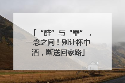 “醉”与“罪”，一念之间！别让杯中酒，断送回家路