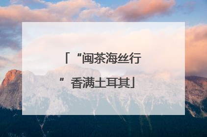 “闽茶海丝行”香满土耳其